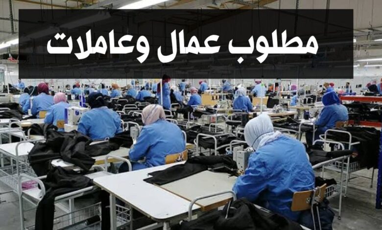 مصنع للخياطة بالجلفة يبحث عن عمال ذكور واناث 54 منصب