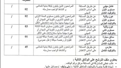 مسابقة توظيف بديوان المؤسسات الشباب ولاية بشار 113 منصب