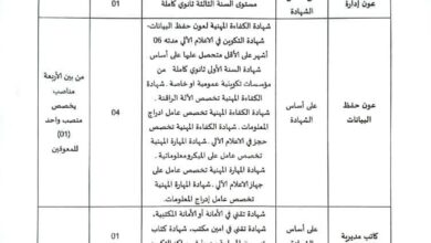 مسابقة توظيف بمديرية التربية لولاية جانت 24 منصب