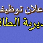مسابقة توظيف في مديرية الطاقة والمناجم لولاية تيسمسيلت