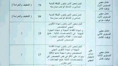 مسابقة توظيف بمديرية التربية ولاية تمنراست 112 منصب