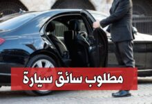 توظيف سائق في سفارة البرازيل بالجزائر