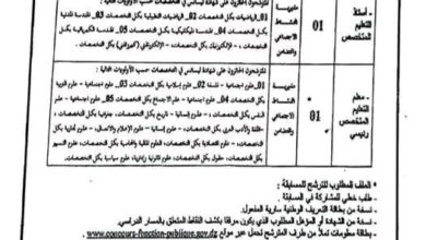 مسابقة توظيف بمديرية النشاط الاجتماعي والتضامن لولاية الجلفة