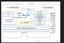 اعلان توظيف بوكالة عدل AADL