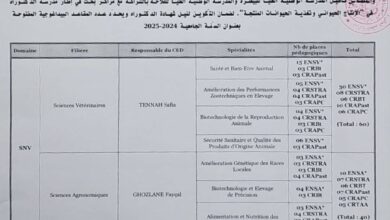 فتح التسجيلات لنيل شهادة الدكتوراه (100 منصب)