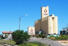 تعاونية الحبوب والبقول الجافة تعلن عن توظيف في عدة الرتب