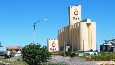 تعاونية الحبوب والبقول الجافة توظف 24 منصب