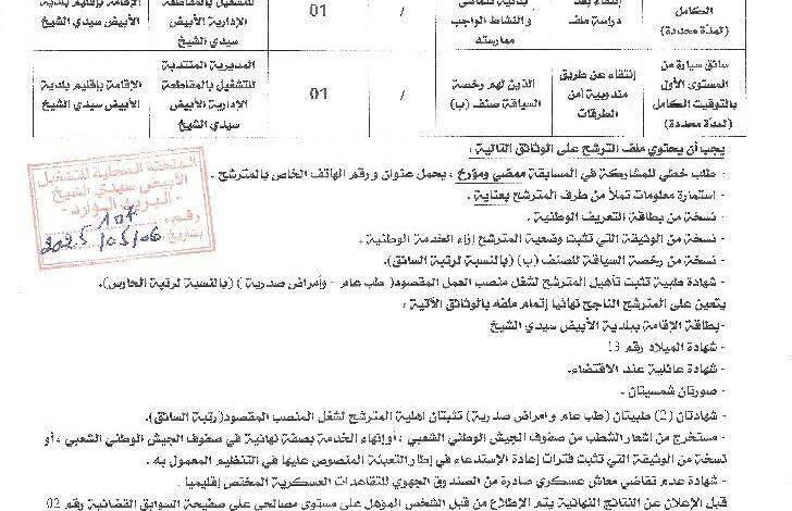 مسابقة توظيف بمديرية التشغيل لولاية البيض