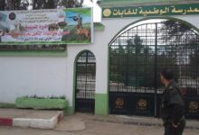 مسابقة توظيف بالمدرسة الوطنية العليا للغابات 90 مقعد