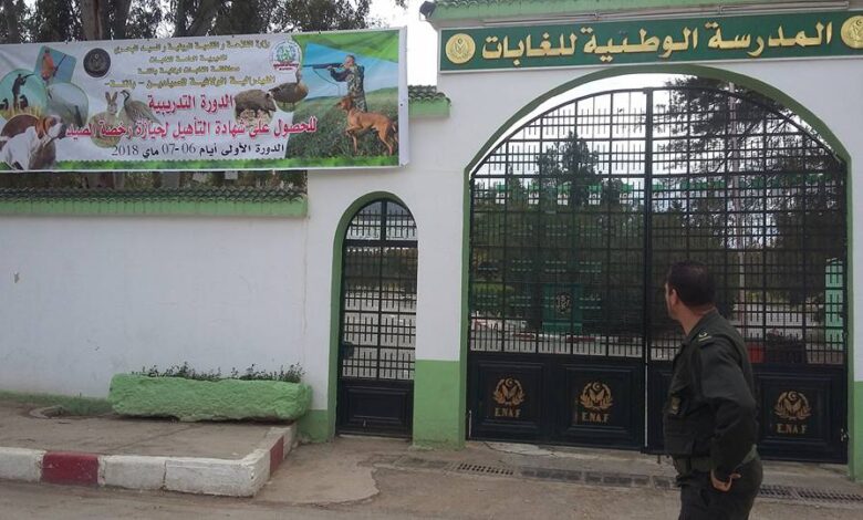 مسابقة توظيف بالمدرسة الوطنية العليا للغابات 90 مقعد