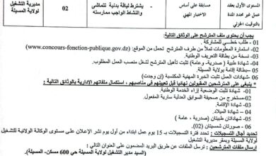 اعلان توظيف بمديرية التشغيل لولاية المسيلة