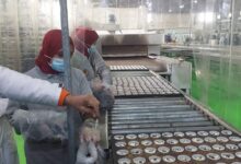 مصنع بأولاد ابراهيم يعلن عن توظيف عاملات