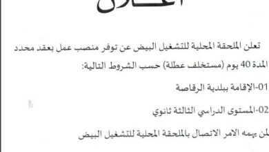 وكالة التشغيل البيض تعلن توظيف لمستوى الدراسي السنة الثالثة ثانوي