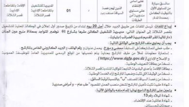 مسابقة توظيف بمديرية التشغيل لولاية تيارت