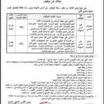 تنظيم مسابقة للتوظيف ببلدية وادي التاغية ولاية معسكر