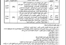 تنظيم مسابقة للتوظيف ببلدية وادي التاغية ولاية معسكر