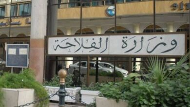 وزارة الفلاحة تفتح مسابقة توظيف في جميع الولايات