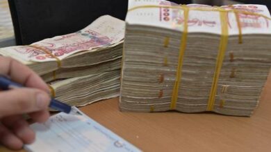 الحكومة تصدر إعانة تتراوح بين 8 ملايين و10 ملايين سنتيم للأسر المنتجة