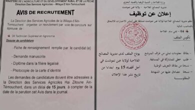 اعلان توظيف بمديرية المصالح الفلاحية لولاية عين تموشنت