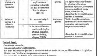 اعلان توظيف بالمركز الوطني للبحث والتنمية في الصيد البحري وتربية المائيات