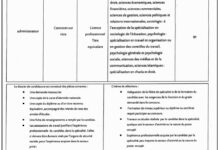 اعلان فتح مسابقة توظيف في ديوان المركب المتعدد الرياضات لولاية الجزائر