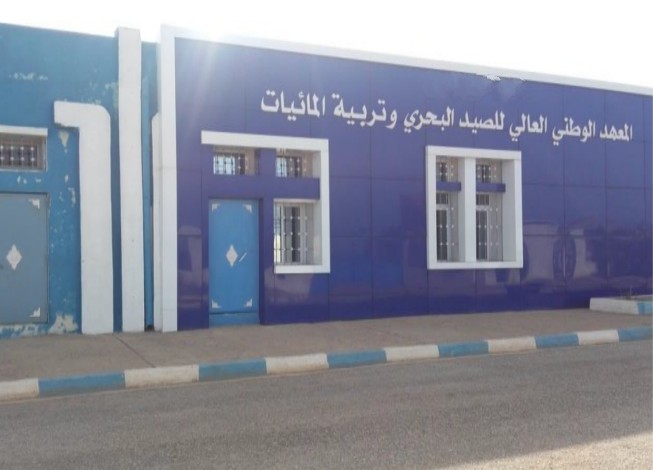 اعلان توظيف بالمعهد الوطني العالي للصيد البحري وتربية المائيات