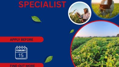 سفارة الولايات المتحدة الأمريكية في الجزائر تعلن عن توظيف