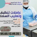شركة خاصة متخصصة في تحويل المنتوجات الغذائية توظف عاملات تنظيف وتعليب