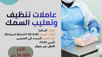 شركة خاصة متخصصة في تحويل المنتوجات الغذائية توظف عاملات تنظيف وتعليب