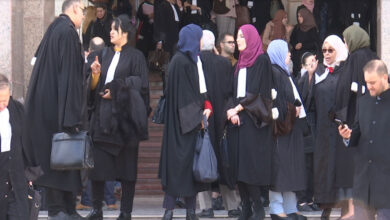 وزارة العدل تفتح باب الترشح لـ 1200 منصب في التكوين المؤهل لمهنة المحاماة