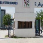 اعلان مسابقة توظيف بالمعهد الوطني للطب البيطري