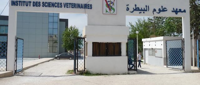 اعلان مسابقة توظيف بالمعهد الوطني للطب البيطري