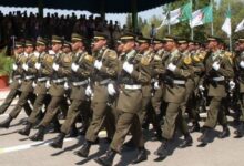 الدرك الوطني يفتح باب التسجيل للراغبين في الالتحاق لحاملي الرابعة متوسط فما فوق