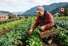 مطلوب عامل في مزرعة خضروات بكندا