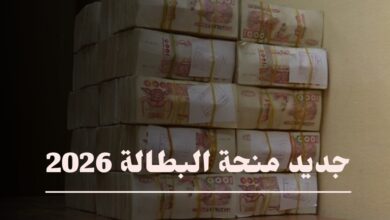 إعادة تفعيل أكثر من 1.4 مليون ملف لمنحة البطالة في الجزائر