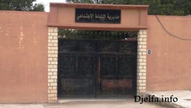 مديرية النشاط الاجتماعي والتضامن لولاية الجلفة تعلن عن مسابقة توظيف