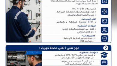 شركة تسيير مصالح ومنشآت مطار الجزائر هواري بومدين تعلن عن فتح باب التوظيف