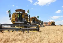  تعاونية الحبوب و البقول الجافة -CCLS تعلن توظيف : 20 سائق آلة حصاد