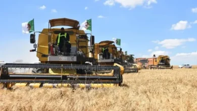  تعاونية الحبوب و البقول الجافة -CCLS تعلن توظيف : 20 سائق آلة حصاد