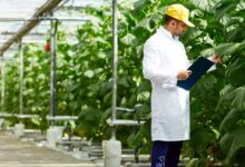 شركة SARL AGRIC PROD المتخصصة في المجال الفلاحي تعلن عن توظيف في مختلف ولايات