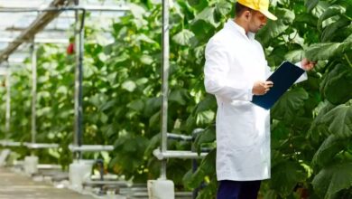 شركة SARL AGRIC PROD المتخصصة في المجال الفلاحي تعلن عن توظيف في مختلف ولايات