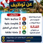 الحديقة المائية تعلن عن حاجتها الى عمال في مختلف التخصصات