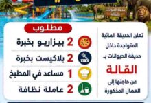 الحديقة المائية تعلن عن حاجتها الى عمال في مختلف التخصصات