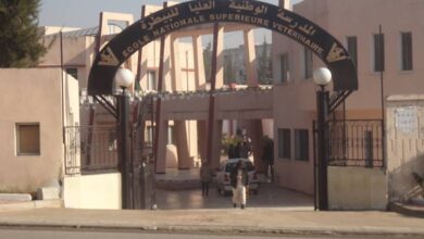إعـلان عــن تــوظـيـف بالمدرسة الوطنية العليا للبيطرة الجزائر