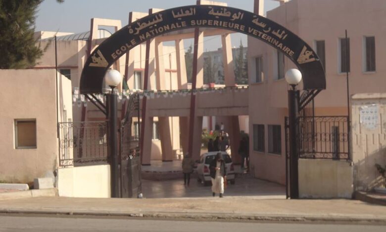 إعـلان عــن تــوظـيـف بالمدرسة الوطنية العليا للبيطرة الجزائر