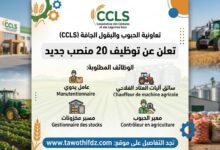 تعاونية الحبوب والبقول الجافة (CCLS) تعلن عن توظيف 20 منصب جديد