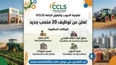 تعاونية الحبوب والبقول الجافة (CCLS) تعلن عن توظيف 20 منصب جديد