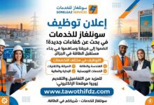 اعلان توظيف في مؤسسة سونلغاز Sonelgaz Services