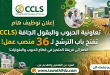 تعاونية الحبوب والبقول الجافة (CCLS) تفتح باب الترشح ل 36 منصب عمل
