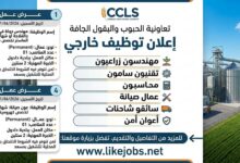 توظيف في تعاونية الحبوب والبقول الجافة CCLS.. تعرف على المناصب المطلوبة